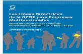 Las Líneas Directrices de la OCDE para Empresas ... · gubernamental para enfrentar las acciones de empresas multinacionales. ... Riesgos que las actividades de una empresa tengan