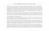 CCARHUAYO (CUZCO) - usmp.edu.peusmp.edu.pe/idp/wp-content/uploads/2017/08/CCARHUAYO.pdf · La altitud del distrito no permite un desarrollo agrícola importante, ... una crianza importante