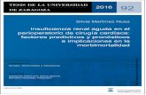 Insuficiencia renal aguda en el perioperatorio de cirugía ...zaguan.unizar.es/record/48291/files/TESIS-2016-092.pdf · 2016 92 Silvia Martínez Nuez Insuficiencia renal aguda en