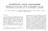 Insuficiencia mitral experimental - SAC · Las arritmias que producen diferentes du- raciones en las pausas diastólicas, no hacen variar la intensidad del soplo sistólico de la