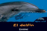 delfín - data.ecasals.netdata.ecasals.net/pdf/24/9788498253276_L33_24.pdf · el pequeño delfín pronto aprende hacer acrobacias sobre a las olas. Y cuando sea mayor, nadará a una