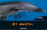 El delfín - data.ecasals.netdata.ecasals.net/pdf/24/9788498259018_L33_24.pdf · ¶E 4 El pequeño delfín necesita l delfín es un mamífero, como nosotros. Esto quiere decir que