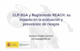 CLP-SGA y Reglamento REACH: su impacto en la … · CLP-SGA y Reglamento REACH: su impacto en la evaluación y prevención de riesgos ... un “informe de seguridad química” adjuntará