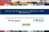 Título de Experto en REACH y CLP - Barcelona - Cesi … · Título de Experto en REACH y CLP 40 horas presenciales La formación consta de 3 Módulos diferenciados La IMPARTICIÓN
