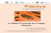 La Calidad Poscosecha de la Papaya Mexicanasistemanodalsinaloa.gob.mx/...29_articulosdivulgacion/5497.pdf · y carotenoides, principalmente; textura debido a la alteración de la