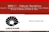 MS211 - Cálculo Numéricovalle/Teaching/MS211/Aula20.pdf · MS211 - Cálculo Numérico Aula 20 – Solução Numérica de Problemas de Valor Inicial: Método de Euler e Métodos