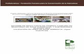 INFORME DE RESULTADOS DE PRIMERA …regionmoquegua.gob.pe/transparencia/Mesadedialogo/Informe_Re_1ra... · informe de resultados de primera campaÑa de monitoreo de agua superficial