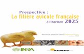 La filière avicole française - avicampus.fr filiere avicole francaise 2025.pdf · 2. scenario 2 - le coq europeen: l ’aviculture franÇaise, un pilier de l ...