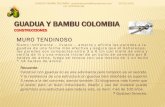 GUADUA Y BAMBU COLOMBIA · GUADUA Y BAMBU COLOMBIA CONSTRUCCIONES MURO TENDINOSO Sismo indiferente – liviano – amarra y afirma las paredes a la guadua de una forma más efectiva