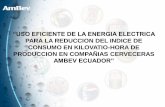 “USO EFICIENTE DE LA ENERGIA ELECTRICA · ENERGIA • Gestión de la eficiencia energética. La eficiencia energética no sólo es poseer las últimas tecnologías para el buen