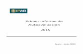 Primer Informe de Autoevaluación - gob.mx · Primer Informe de Autoevaluación 2015 ... acceso al financiamiento de proyectos con potencial de crecimiento”. Al respecto, se establece