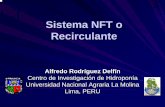 Sistema NFT o Recirculante - … · Raíz Flotante. NFT: Técnica de la Película (Film) Nutriente. Componentes del Sistema Recirculante o NFT •Tanque •Electrobomba •Tubería
