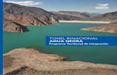 TÚNEL BINACIONAL AGU A NEGRA - mininterior.gov.ar · INTR ODUCCIÓN 7 El PTI Túnel Binacional Agua Negra se encuentra conformado por planes, programas y proyectos, lo-calizados