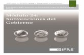 24 Subvenciones del Gobierno 2013 - NIIF Venezuela · 24/06/2016 · Fundación IFRS: Material de formación sobre la NIIF para las PYMES que incluye el texto completo de la Sección