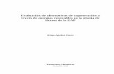 Evaluación de Alternativas de Cogeneración a través de ... · 2.1.1.1 Implementación de un biodigestor, ventajas ambientales y generación de energía . La digestión anaeróbica