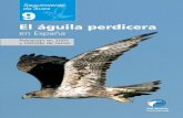 El águila perdicera en España. Población en 2005 y … · en España Población en 2005 y método de censo 9 El águila perdicera en España. Población en 2005 y método de censo.