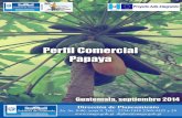 Presentación - web.maga.gob.gtweb.maga.gob.gt/download/Perfil papaya.pdf · El Proyecto AdA-Integración “Proyecto de Facilitación de la Participación de Guatemala ... ejote