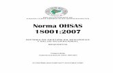 SISTEMA DE GESTIÓN EN SEGURIDAD Y SALUD … OHSAS 180… · acuerdo de elaboración de una guía -posible OHSAS 18003- para la realización de auditorías a ... de los riesgos laborales.
