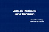 Zona de Pastizales Zona Transición - Inicio - Praderas …praderasypasturas.com/.../2003/05.-Zona_de_Transicion.pdf · 2013-07-21 · Factores que afectan el desarrollo de la pradera
