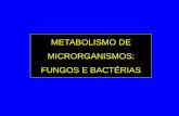 METABOLISMO DE MICRORGANISMOS: FUNGOS E … · METABOLISMO Soma total de todas as reações químicas que suportam a vida CATABOLISMO (reações exergônicas –quebra) ATP, NADH,