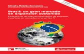 2ª Edición Publicaciones Cátedra Nebrija Santander en Dirección Internacional ISBN 978-84-940119-1-7 en Dirección Internacional de … · “Brasil es uno de los mercados legales