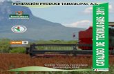 CONTENIDO - Fundación Produce Tamaulipas, A.C.producetamaulipas.net/catalogos/catalogo2011.pdf · “Este programa es público, ajeno a cualquier partido político. Queda prohibido