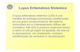 Lupus Eritematoso Sistemico - accattatis.net · Lupus Eritematoso Sistemico • Prototipo delle malattie da immunocomplessi. • Caratterizzato dalla produzione di auto-anticorpi