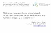 Obligaciones progresivas e inmediatas del Estado … · Seminario PUES-UNAM. Agosto, 2017. Los derechos humanos en materia ambiental y la Agenda 2030 para el Desarrollo Sostenible