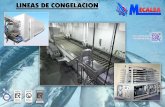LINEAS DE CONGELACION - mecal-sa.com · sistemas de congelacion en continuo en salmuera sistema de congelacion continuo doble sistema de congelacion continuo modular sistema de congelacion