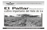 CENTRO DE ESTUDIOS PARA EL DESARROLLO Y …€¦ · 8 El Cultivo del Pallar Camino a Huacachina 1151- ICA Teléfono: 056-215627 Tele-Fax: 056-215627 cedep ICA. Title: armado-folleto-pallar-A3