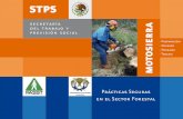 Uso de Motosierra - gob.mxstps.gob.mx/bp/secciones/dgsst/publicaciones/prac_seg/prac_chap/... · Uso de Motosierra PreseNtaCiÓN Practicas Seguras en el Sector Forestal ... del Trabajo