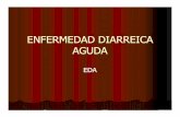ENFERMEDAD DIARREICA AGUDAcolombianadesalud.org.co/GUIAS_ATENCION_MEDICINA... · 2009-10-09 · ENFERMEDAD DIARREICA AGUDA EDA. GENERALIDADES Problema de salud publica en Problema