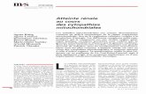 Atteinte rénale au cours des cytopathies mitochondrialesipubli-inserm.inist.fr/bitstream/handle/10608/296/MS_1997_1_18.pdf · mitochondriale. Il faut dans ces cas-là B mener une