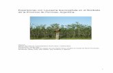 Experiencias con Leucaena leucocephala en el … · Experiencias con Leucaena leucocephala en el Nordeste de la Provincia de Formosa. Argentina. Informe: ... Este Informe tiene como