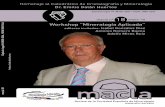 Workshop “Mineralogía Aplicada” - Hasiera - UPV/EHU · / Manuel Cano-García, Eduardo Garzón-Garzón, ... Aproximación Genética de los Depósitos de Barita del Suroeste del