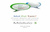 (Curso Básico de Lenca, Lengua de Honduras) Módulo 3tushik.org/wp-content/uploads/MPT3.pdf · lecciones once a quince de Kotik Molka Niwamal. ... reconstrucción y recuperación
