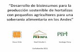 Desarrollo de bioinsumos para la producción sostenible de ... · Micorrizas nativas asociadas al cultivo de maíz en Saboyá Resultados Se seleccionaron 5 morfotipos nativos con