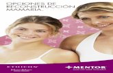 MENTOR · En 1995, Mentor® se convirtió en el primer fabricante de implantes de mama a recibir la marca CE (Certificado de Conformidad Europea) y, en 2006, recibió la aprobación