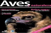 Buitre negro - SEO/BirdLife · Situación insostenible Ave del Año 2010 dLife Todos contra el veneno Aves exóticas Buitre negro erano. ... 44 Las aves de Canarias, al borde de su