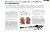 Nacimiento y evolución de los tableros estructuralesinfomadera.net/uploads/articulos/archivo_4693_15630.pdf · Se extracta y se resume a continuación una parte del re- ... utilizándose