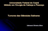 Universidade Federal do Ceará Residência em Cirurgia … Oliveira... · Tumor de Warthin Carcinoma adenóide cístico Lesão linfoepitelial Carcinoma de células acinares Oncocitoma