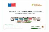 COMUNA DE CASTRO 2017 de... · mapa de oportunidades comuna de castro 2017 red comunal chile crece contigo