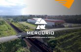 Líder en correas transportadoras en Sudamérica · 2 Fábricas DC Jundiaí (1945) Marabá (2017) 10 mil m² de área Mayor stock de correas ... En más de 40 segmentos Minería y