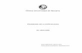 PROGRAMA DE LA ESPECIALIDAD DE UROLOGÍA · 4.2.7.11 Procedimientos percutáneos y endoscópicos renales (drenajes, tratamiento de los quistes, tratamiento de la litiasis, tratamiento