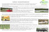UNAI KUARTANGO - cestaurbide.files.wordpress.com · Unai se dedica a la agricultura ecológica, fruticultura ecológica con 470 manzanos para zumo y la cría de pollo también ecológico,