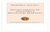 Dpto. de Anatomía e Histología Humanas. Memoria …campus.usal.es/.../Departamentos/Anatomia_e_Histologia_Humanas.pdf · HISTOLOGIA BUCODENTAL HUMANA Licenciatura en Odontología