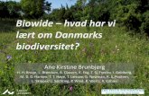 Biowide hvad har vi lært om Danmarks biodiversitet? · BIO diversity in WI dth and DE pth •Formål: at beskrive og kvantificere variation in biodiversitet i Danmark ... • X 5
