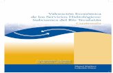 Valoración Económica de los Servicios Hidrológicos ...awsassets.panda.org/downloads/valoracion_economica_rio_teculutan.… · ción económica y un análisis de costo -beneficio