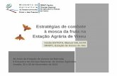 Estratégias de combate à mosca da fruta na Estação … · Estratégias de combate à mosca da fruta na Estação Agrária de Viseu Vanda BATISTA, Manuel SALAZAR DRAPC, Estação