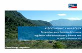 AUTOCONSUMO Y MINI EÓLICA Perspectivas para Canarias de la ...031ff77.netsolhost.com/tacgestorcontenidos.../autoconsumo2.pdf · Sunny Island forma y controla la red independiente